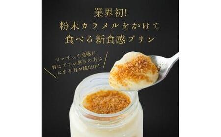 【0538】プリン専門店Totto PURIN プリン食べ比べ4個セット