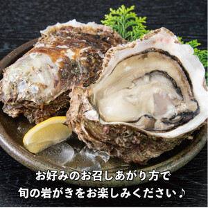 鳥取賀露港 天然岩がき「夏輝」セット【かねまさ・浜下商店】