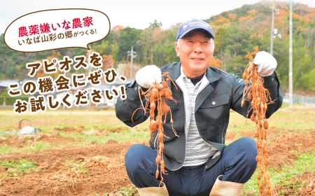 【0082】世界三大健康野菜 アピオス 1キロ