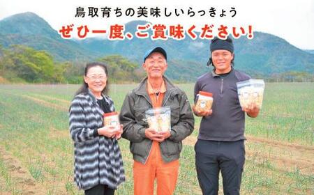 橋本さんちの砂丘らっきょう甘酢漬け 800g