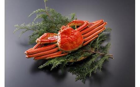 鳥取県産 タグ付き松葉がに(生＆茹で)【中村商店】