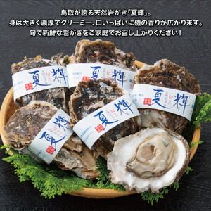 鳥取県産 岩がき「夏輝」【中村商店】