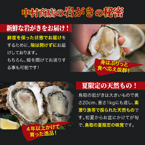 鳥取県産 岩がき「夏輝」【中村商店】