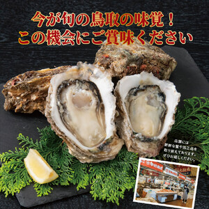 鳥取県産 岩がき「夏輝」【中村商店】