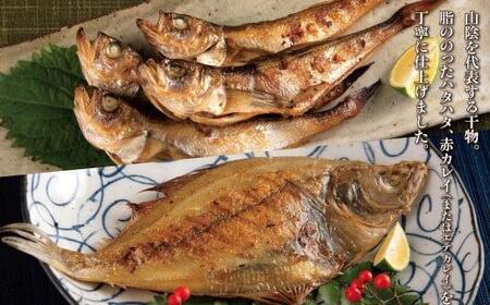 山陰のおすすめ干物セット【中村商店】