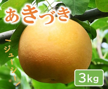 【0979】あきづき 3キロ(やぶやフルーツガーデン)