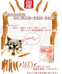 【1106】鳥取産 ペットおやつ 犬用 ささみ 巻き巻き ガム 10袋