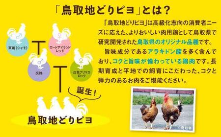 鳥取地鶏使用 キーマカレー 180g×5個セット