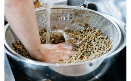 店主オススメのコーヒー豆 2種類セット