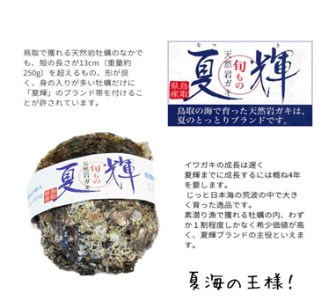 【1307】天然岩牡蠣(活)夏輝 350g-450g前後(特大サイズ) 10個セット(いまる)