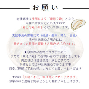 【1307】天然岩牡蠣(活)夏輝 350g-450g前後(特大サイズ) 10個セット(いまる)