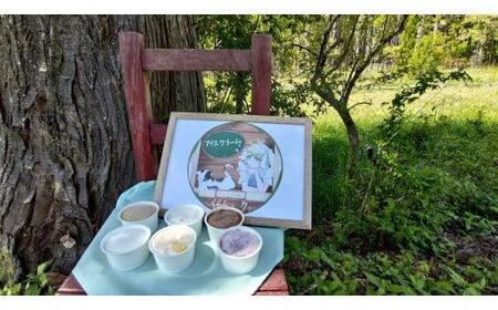 アイスクリーム 12個セット