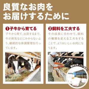【0298】鳥取牛サンカクバラ焼肉用 600g(冷凍)