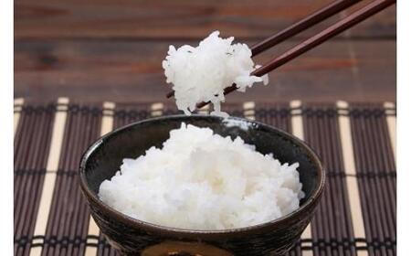 【2025年収穫】鳥取県産特別栽培米こしひかり ( 5kg )