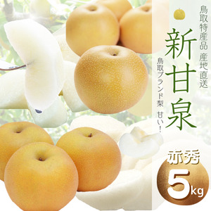 【1373】鳥取県産 新甘泉梨(贈答用) 赤秀 5kg詰(いまる)