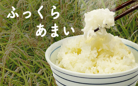 令和7年産　星空舞　５ｋｇ（５ｋｇ×１袋）