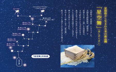 令和7年産　星空舞　５ｋｇ（５ｋｇ×１袋）