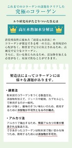 RUKENコラーゲンパックタイプセット