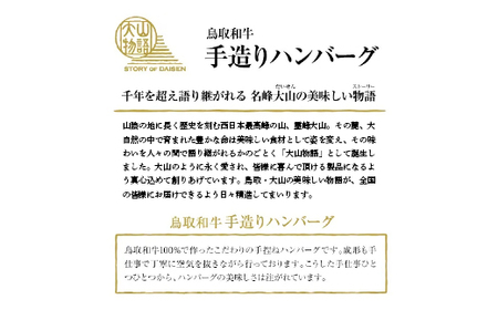 ＜大山物語＞氷温熟成 鳥取和牛100％手造りハンバーグ 100g×6