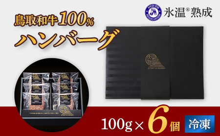 ＜大山物語＞氷温熟成 鳥取和牛100％手造りハンバーグ 100g×6