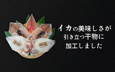 シロイカ入りイカの一夜干し食べくらべセット（Bセット）【がじゅまる】