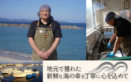 シロイカ入りイカの一夜干し食べくらべセット（Bセット）【がじゅまる】