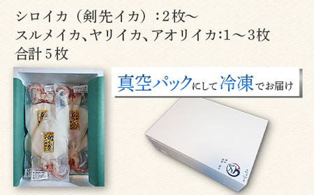 シロイカ入りイカの一夜干し食べくらべセット（Bセット）【がじゅまる】