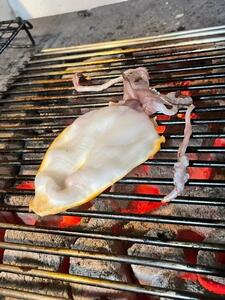 ノドグロ・白イカ入り干物セット 一夜干し（Dセット）【がじゅまる】