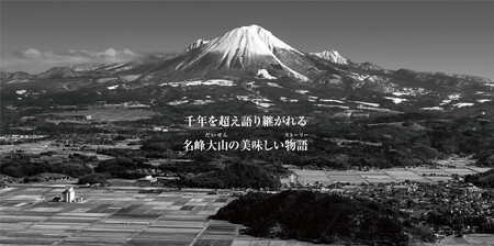 ＜大山物語＞氷温R熟成 鳥取和牛 焼肉用 肩ロース 500ｇ