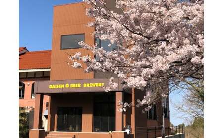 「大山Gビール 飲み比べ10本セット」 YG-10