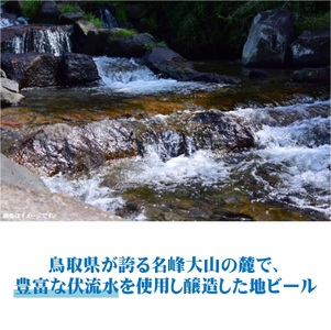 「大山Gビール 飲み比べ10本セット」 YG-10