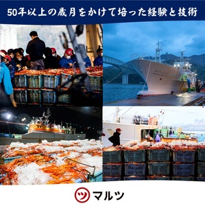 【タグ付き】活〆ボイル松葉蟹（大）冷蔵　「老舗 蟹専門店マルツ」
