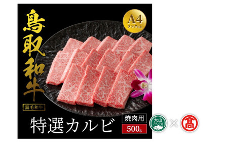 だんだんキッチン 鳥取和牛  特選カルビ 500g 冷凍（大山ブランド会）