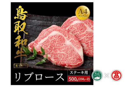だんだんキッチン 鳥取和牛 リブロースステーキ用 250g×2枚 計500g （大山ブランド会）