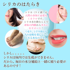 理想のシリカ 500ml × 48本 (1ケース24本入 × 2ケース)　水　ミネラルウォーター　シリカ 水