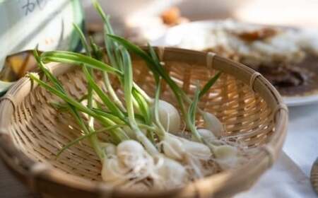 すぷらうとにんにくお試しセット