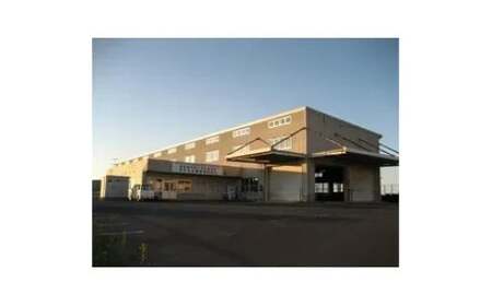 鳥取県産「新甘泉(しんかんせん)」 5kg