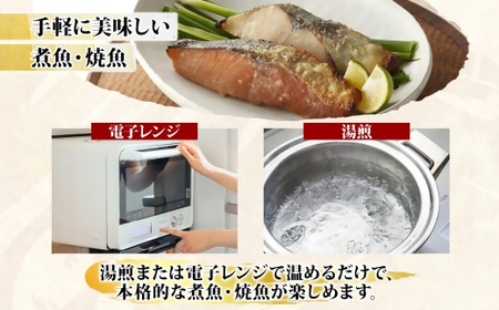 〈山陰大松〉氷温熟成　煮魚・焼魚ギフトセット１０切　ＮＹＧ-10
