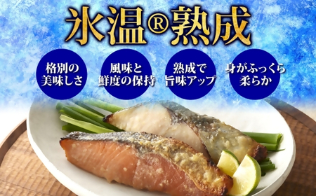 〈山陰大松〉氷温熟成 西京漬けギフトセット10切れ SSK-10