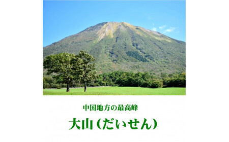 大山Gビール定番・ハイアルセット GB-S