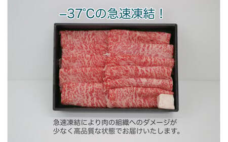 鳥取和牛A5等級　霜降りサーロインスライス　500g