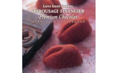 白ウサギフィナンシェプレミアムショコラ10個入