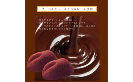 白ウサギフィナンシェプレミアムショコラ10個入