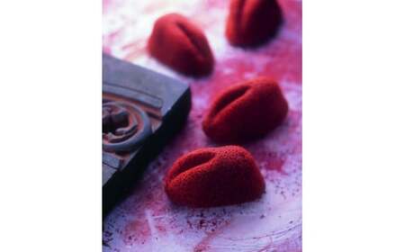 白ウサギフィナンシェプレミアムショコラ10個入