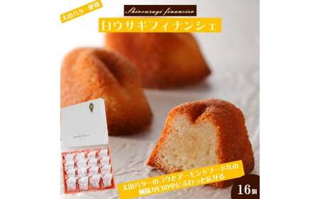 白ウサギフィナンシェ16個入