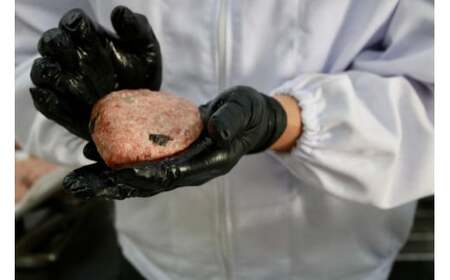 銀の米 とっとり牛のハンバーグ6個(デミグラスソース)