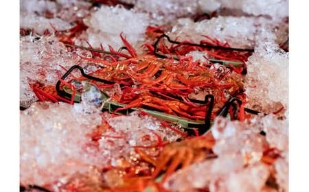 カット済〈生〉紅ずわい蟹1.5㎏セット