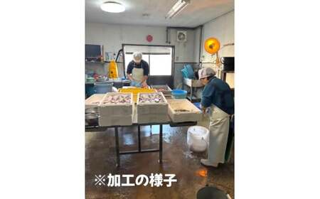 安藤水産干物詰合せＡ