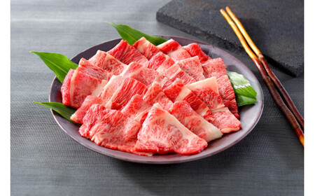 ＜大山物語＞氷温熟成　鳥取和牛　焼肉用肩ロース５００ｇ【高島屋選定品】