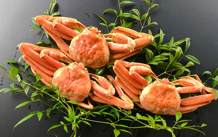 浜ゆで!松葉蟹(足折れ)1.0kg以上(2~3杯)